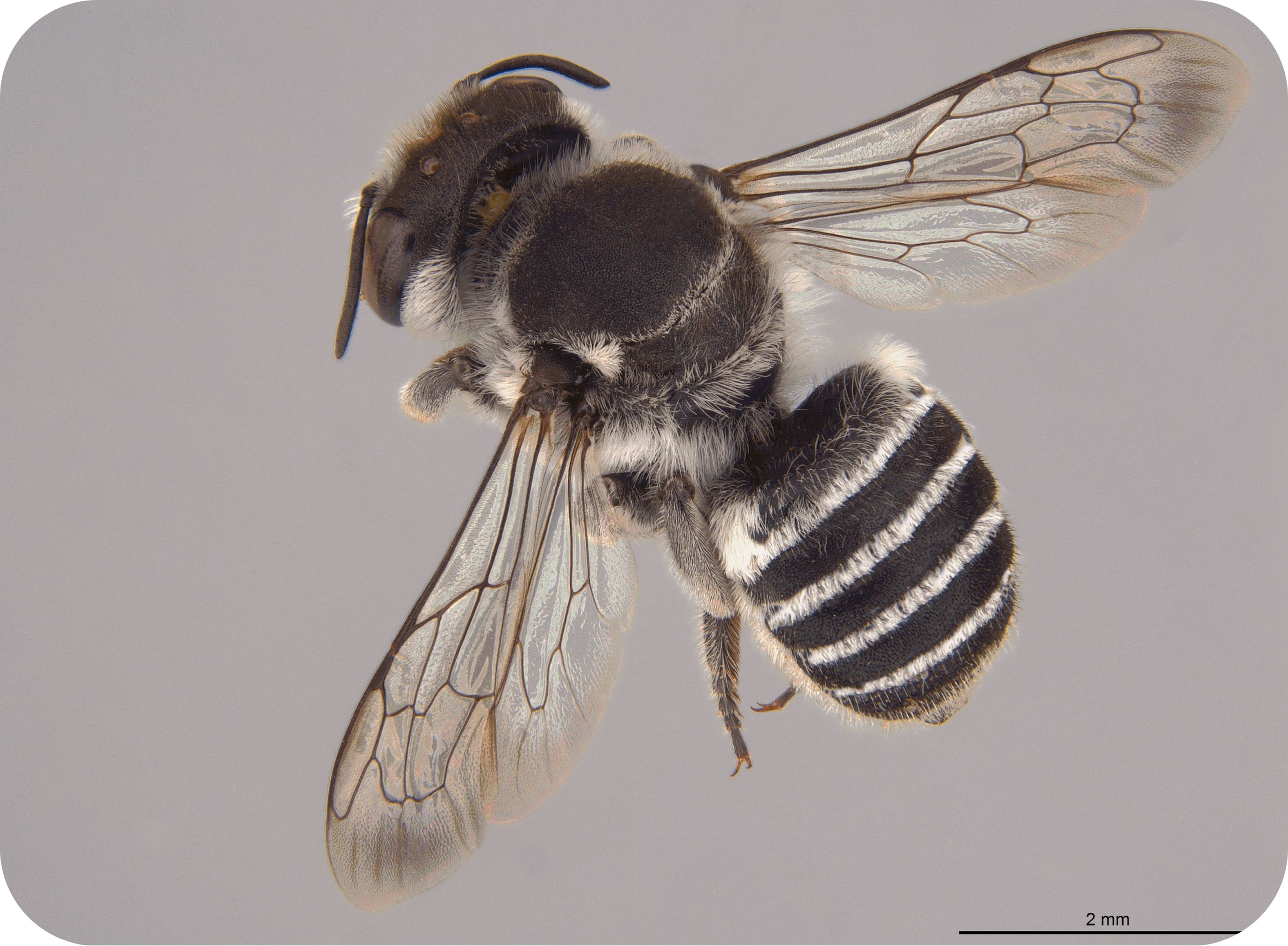 A big welcome to our new-bees | WE ARE.SA