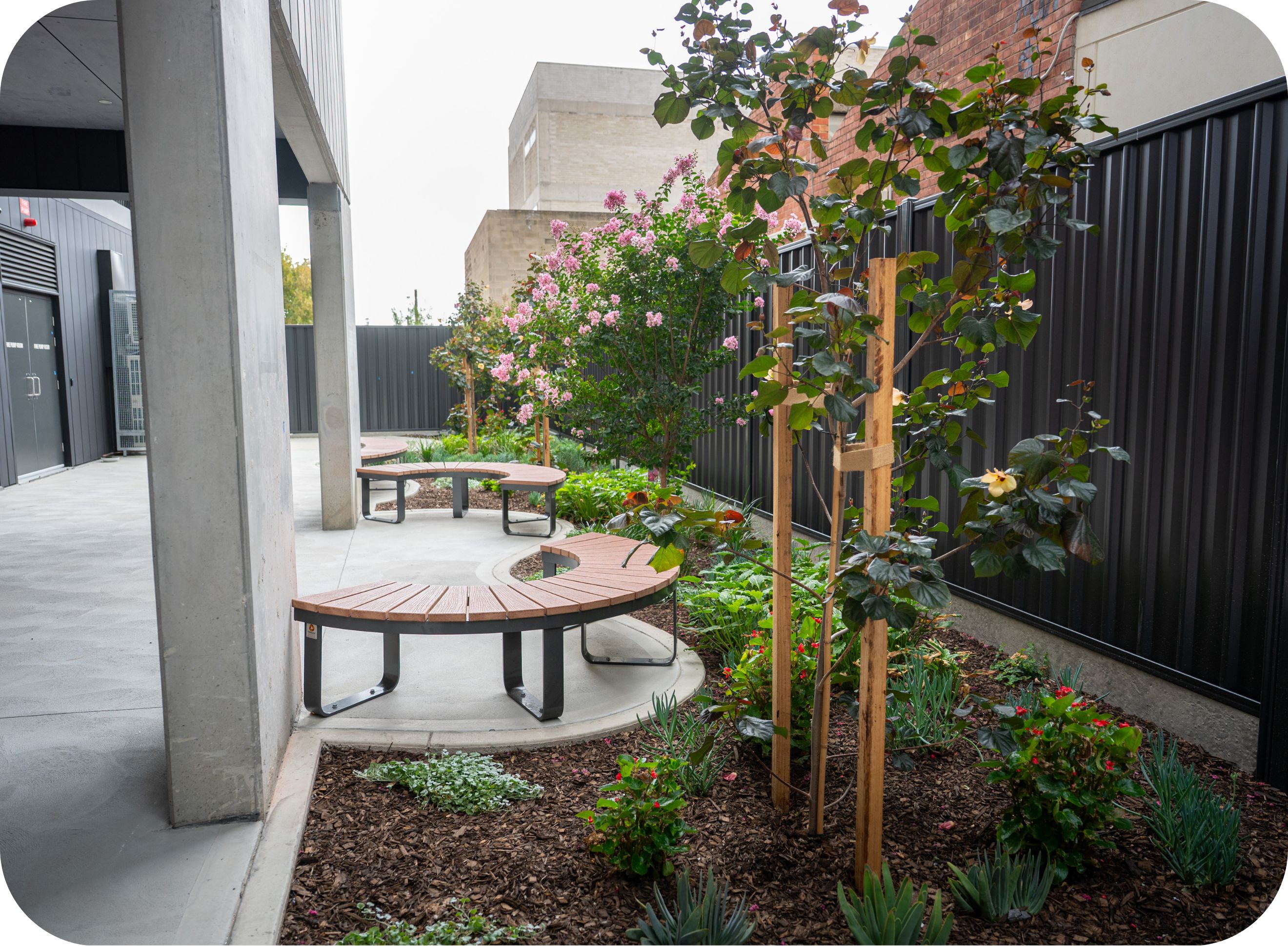 Tucker St garden area