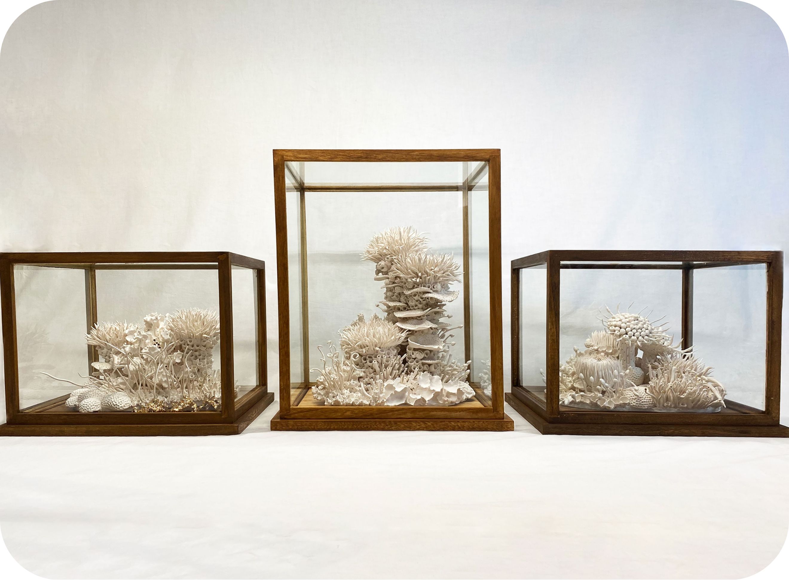 Fragile Forms