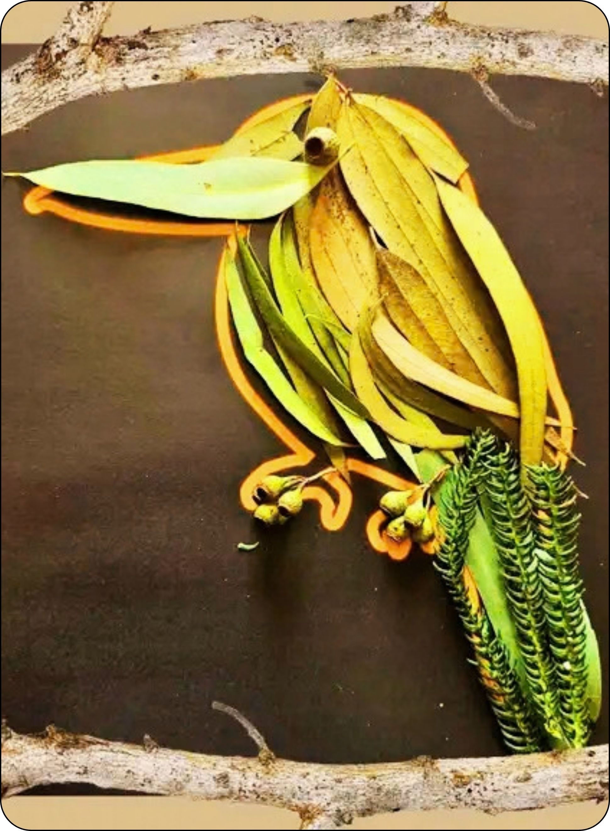 bird