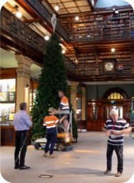 Image of the tree being built