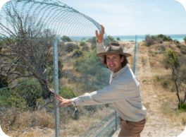 fence