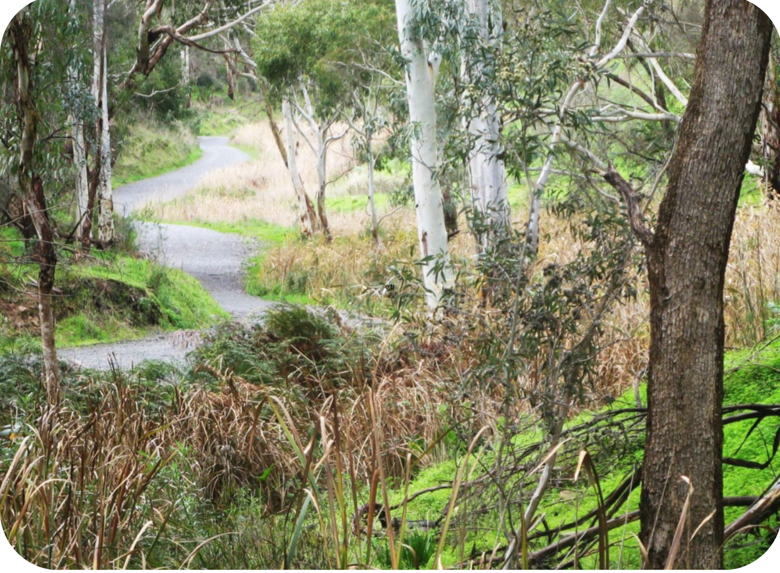 Anstey Hill Recreation Park