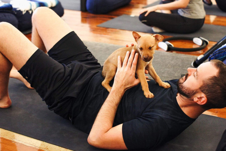 Puppy Yoga