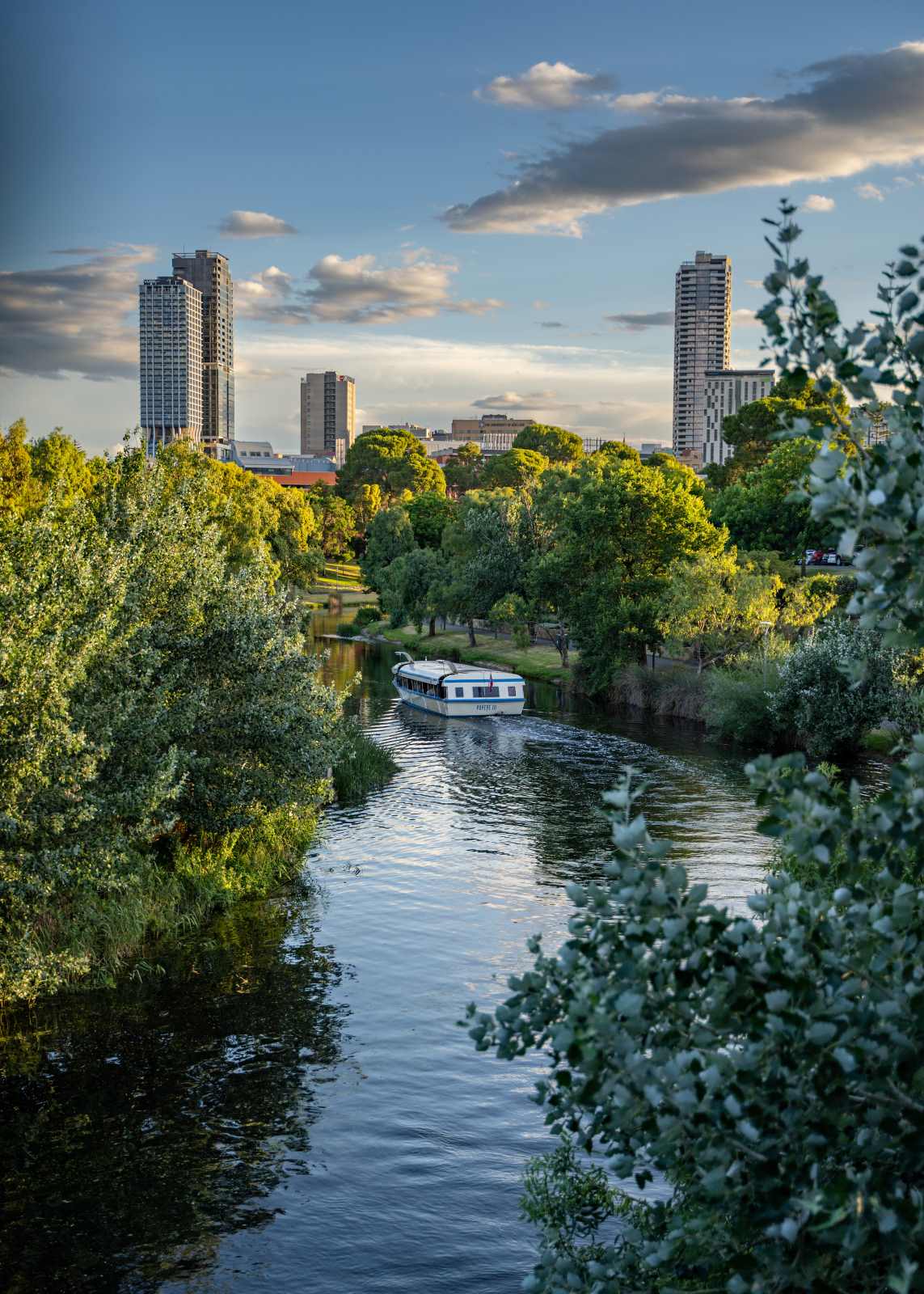 Image of the Popeye on the River Torrens
