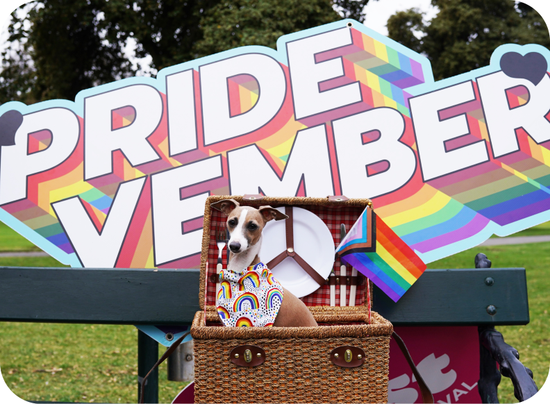 Image of a dog in a rainbow bandanna sitting inside a picnic basket in front of a 'pride-vember' sign