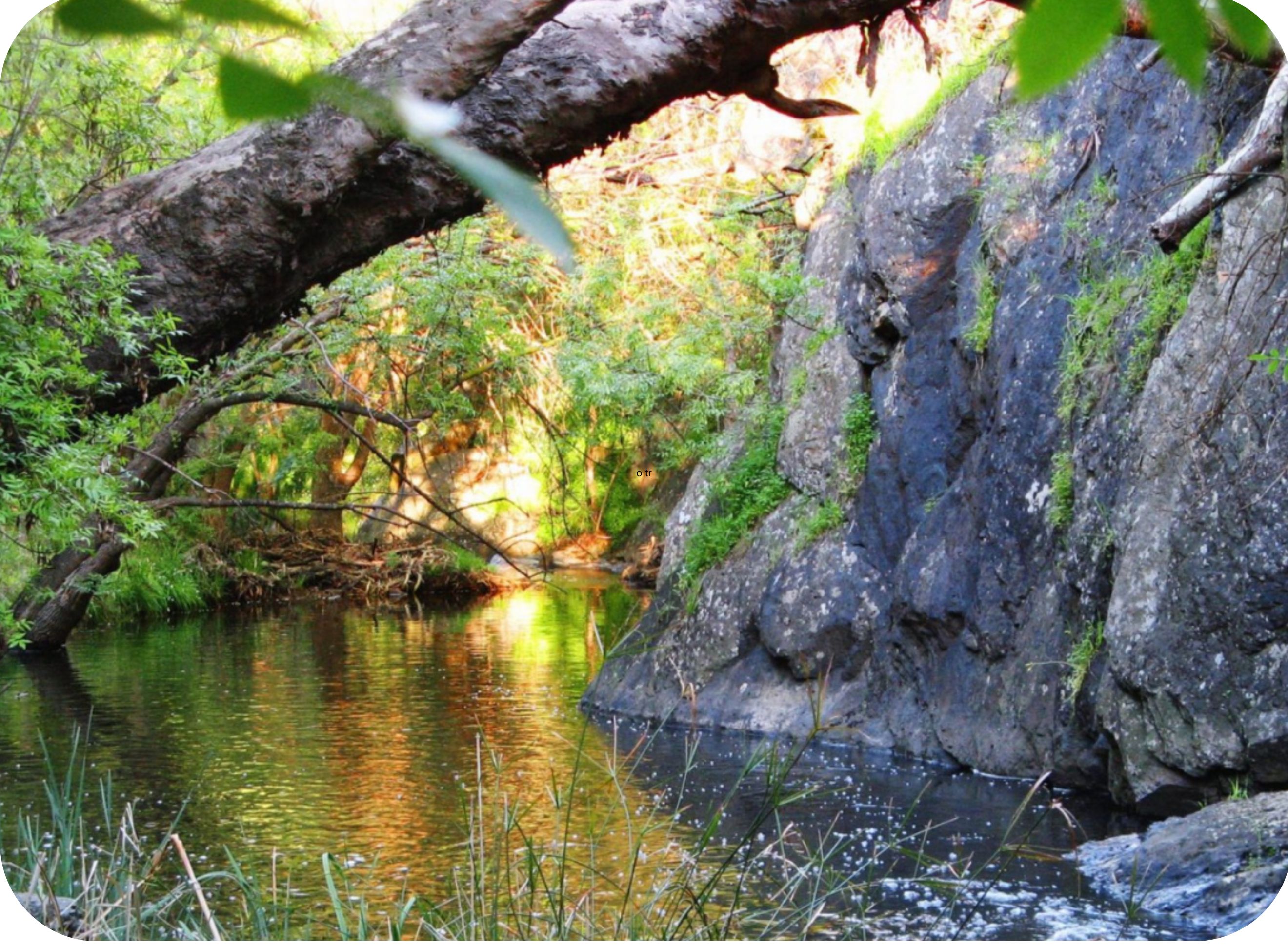 Sturt Gorge Recreation Park