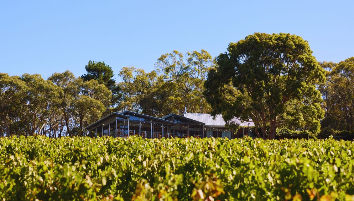 chardonnay