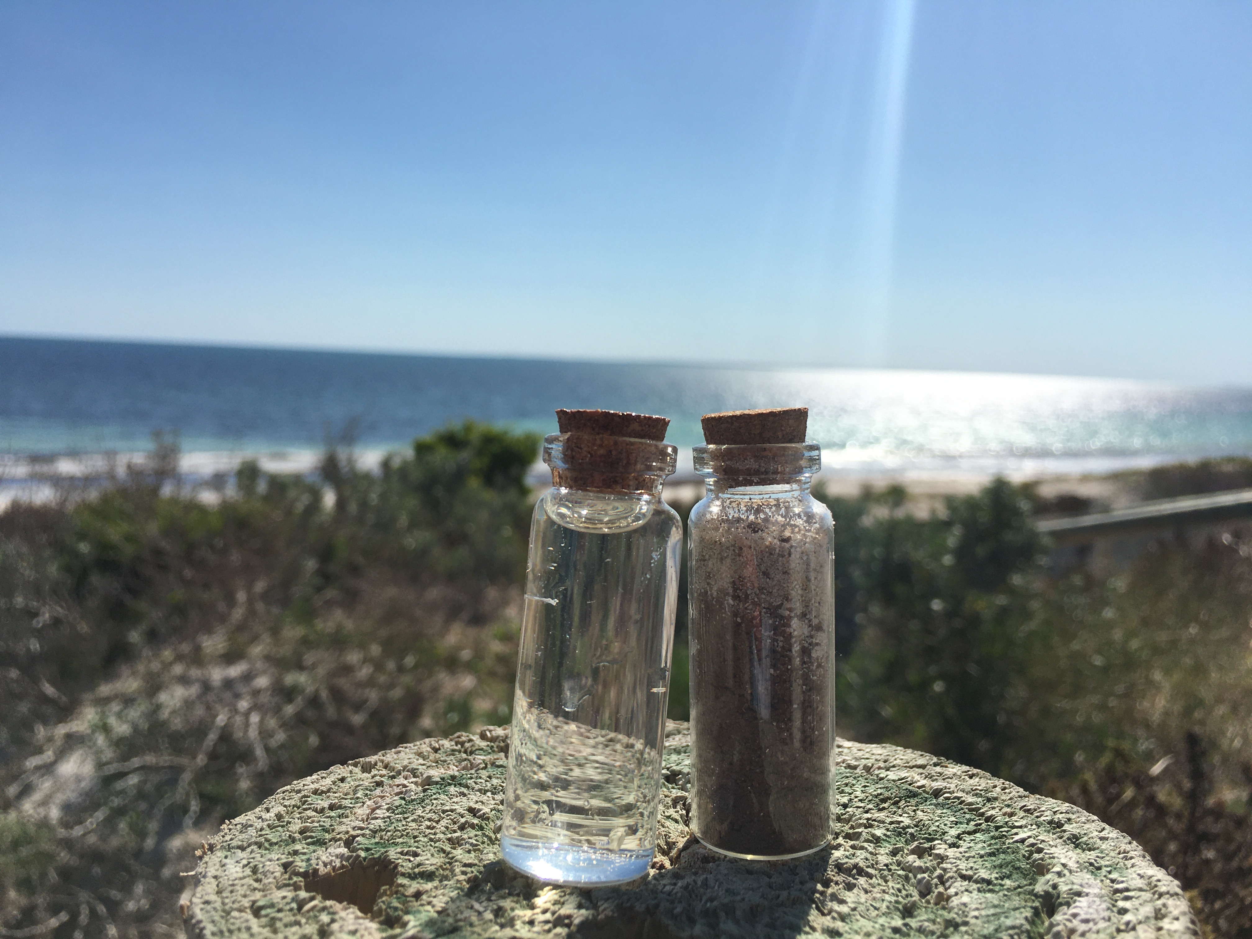 Glass vials.