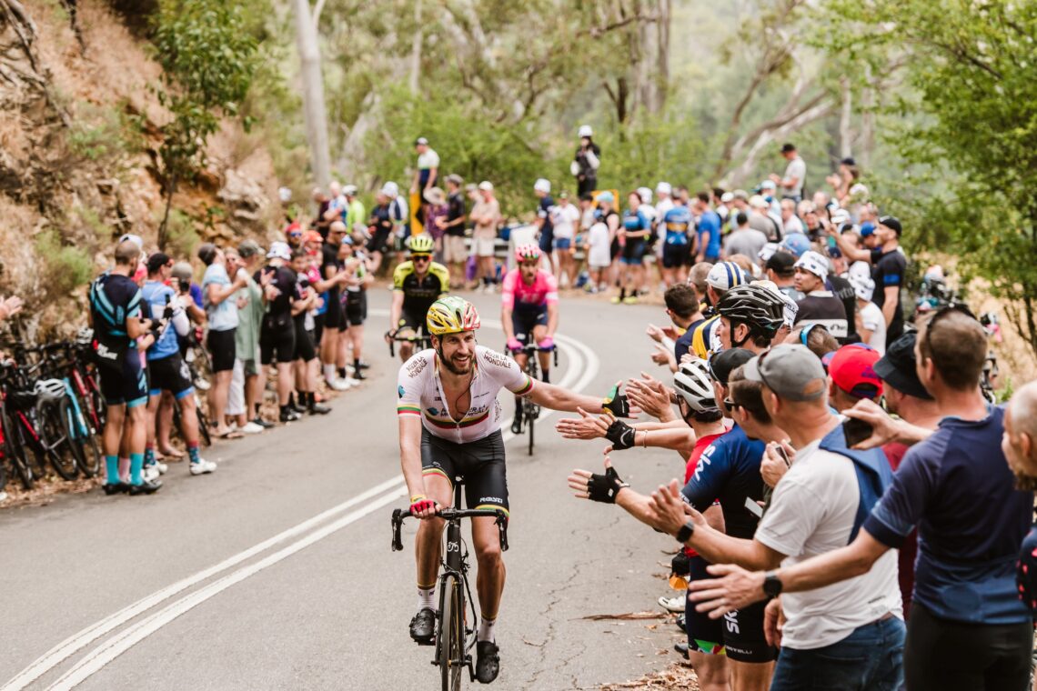 TDU