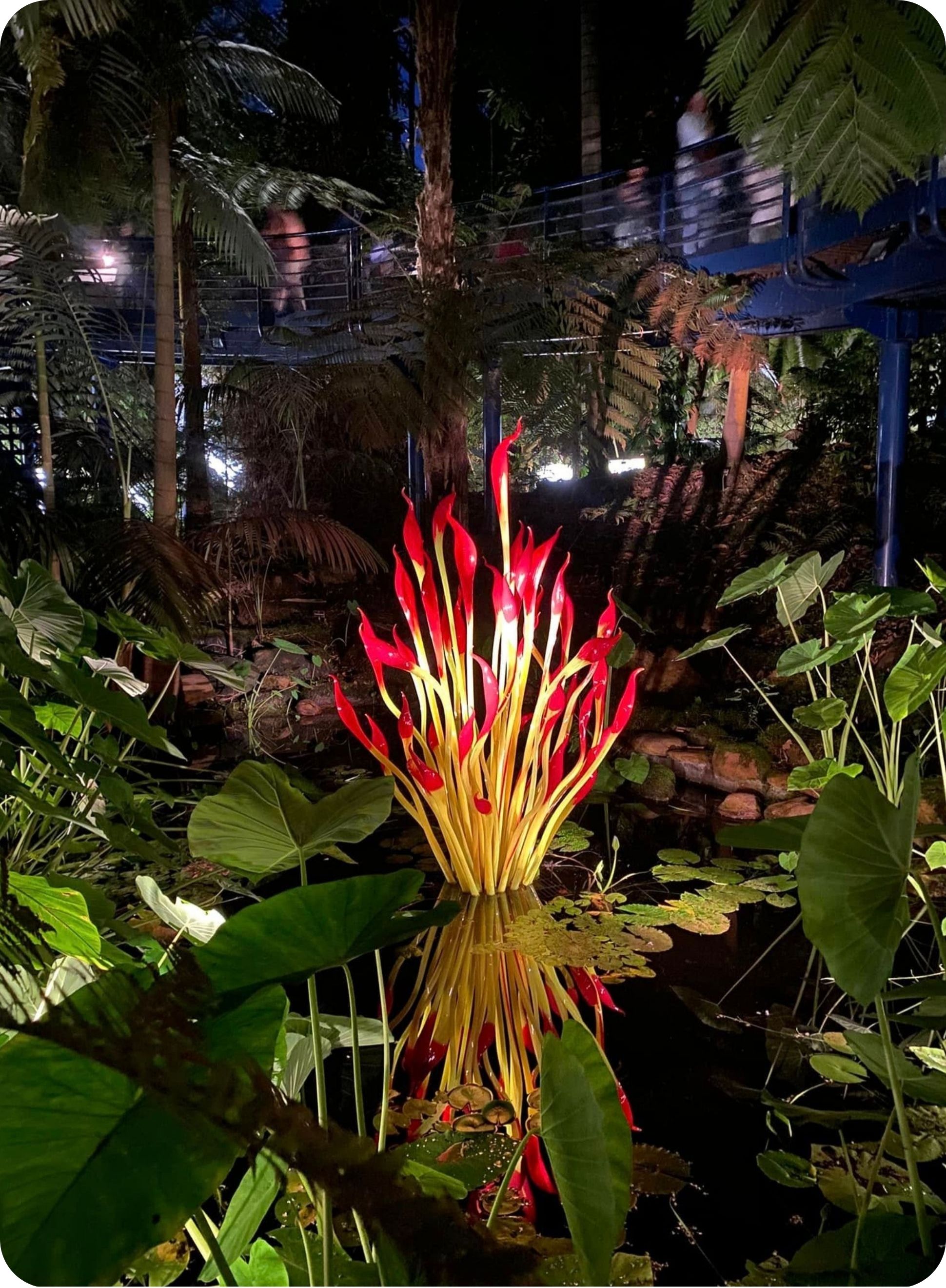Chihuly sculpture Adelaide Botanic Garden