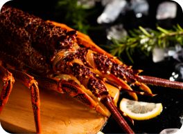 lobster