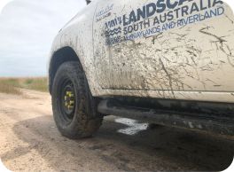 mud