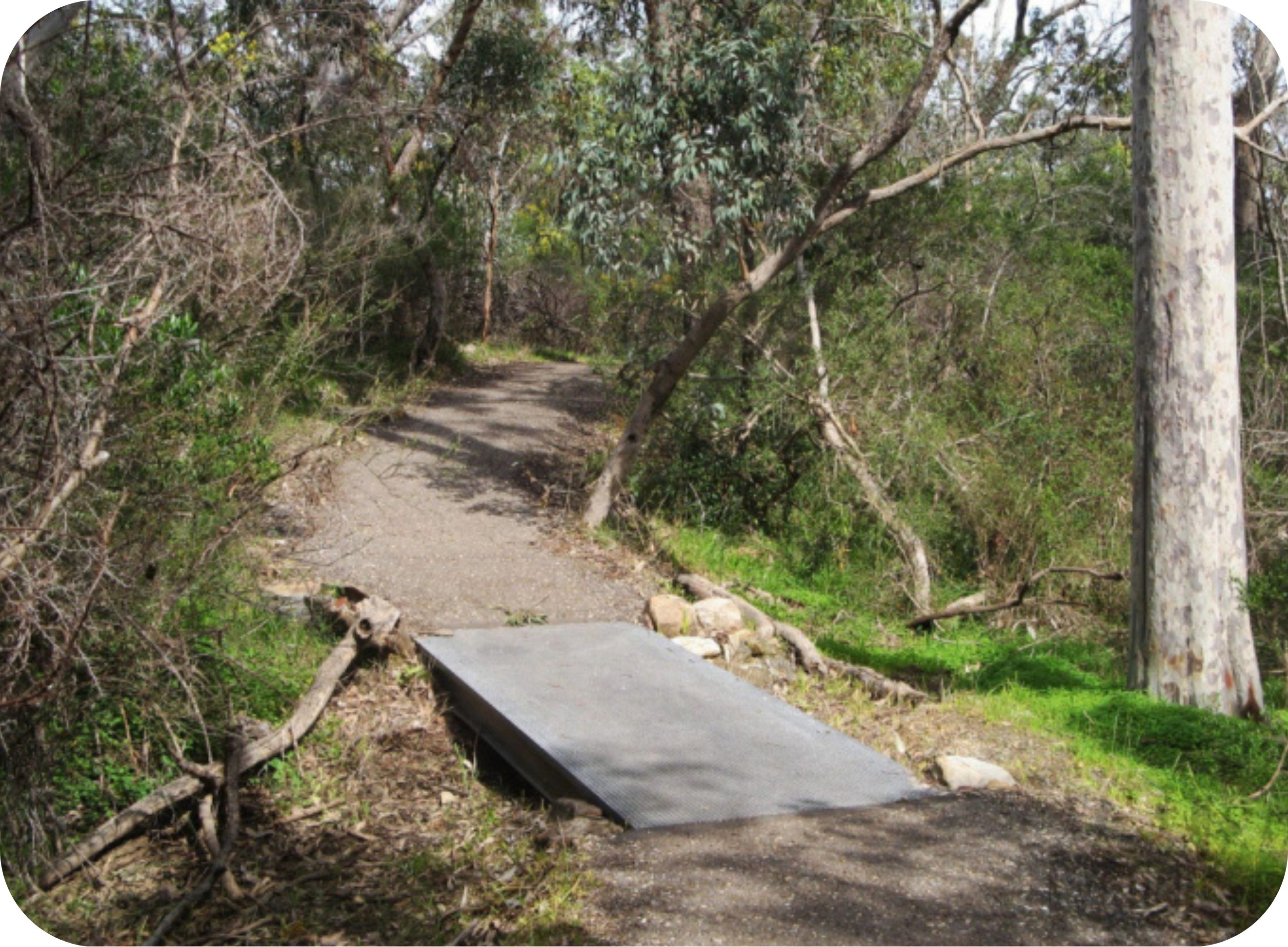 Lorikeet Loop Walk