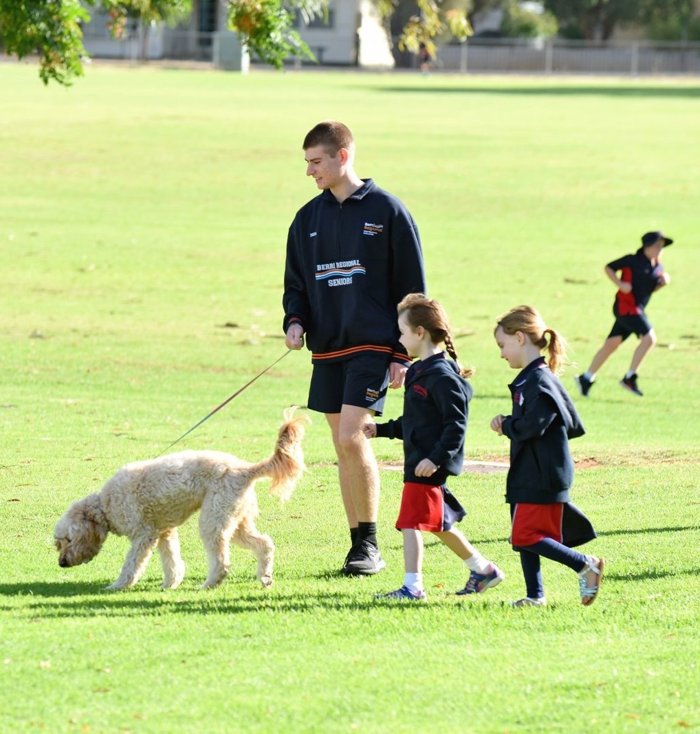 Image of year 12 student Cameron walking a dog alongside two young primary school students.