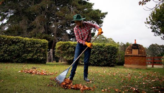 Image of a woman sweeping up leaves from a garden, in preparation for bushfire season.