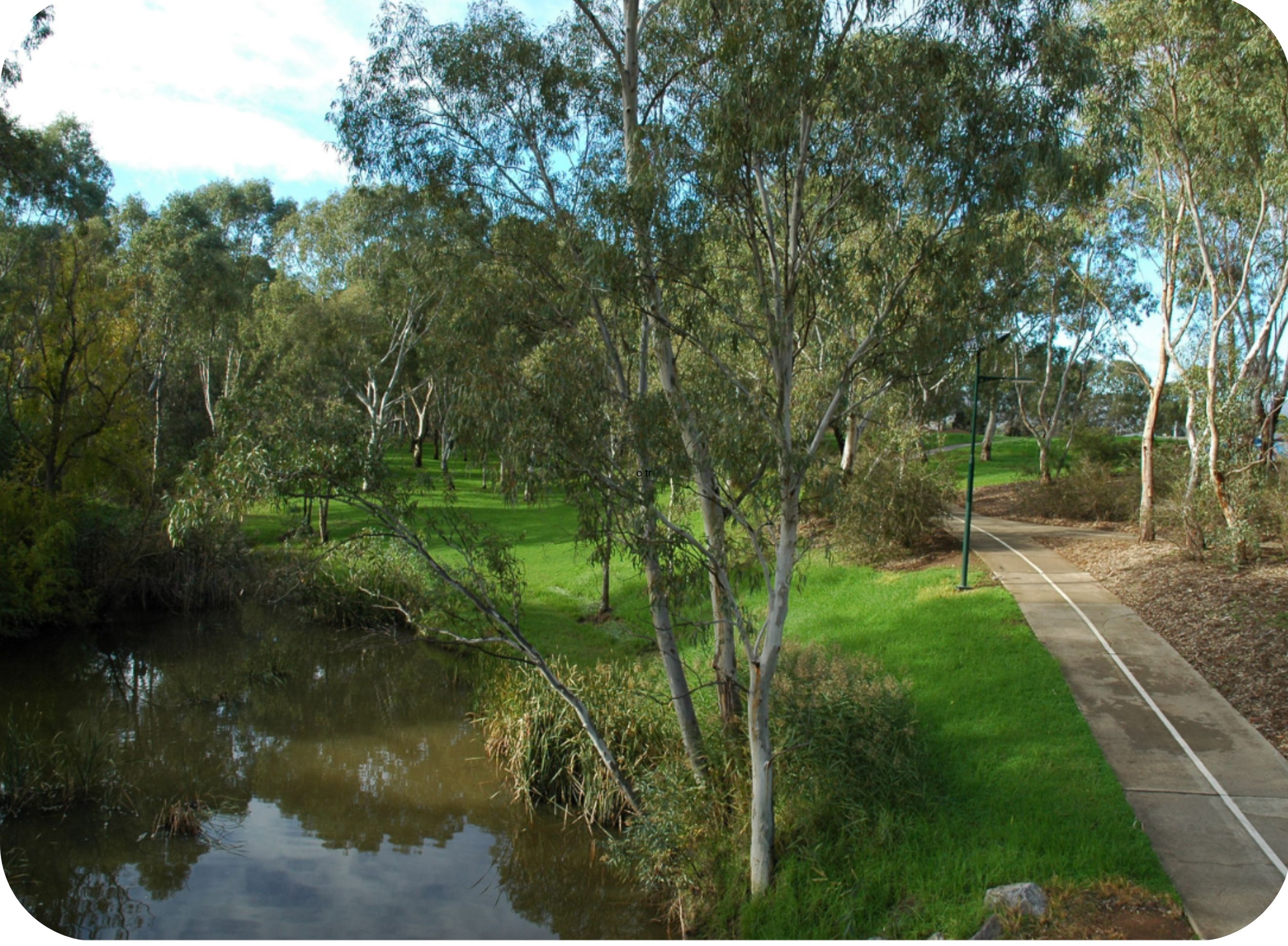 River Torrens / Karrawirra Parri Linear Park Trail