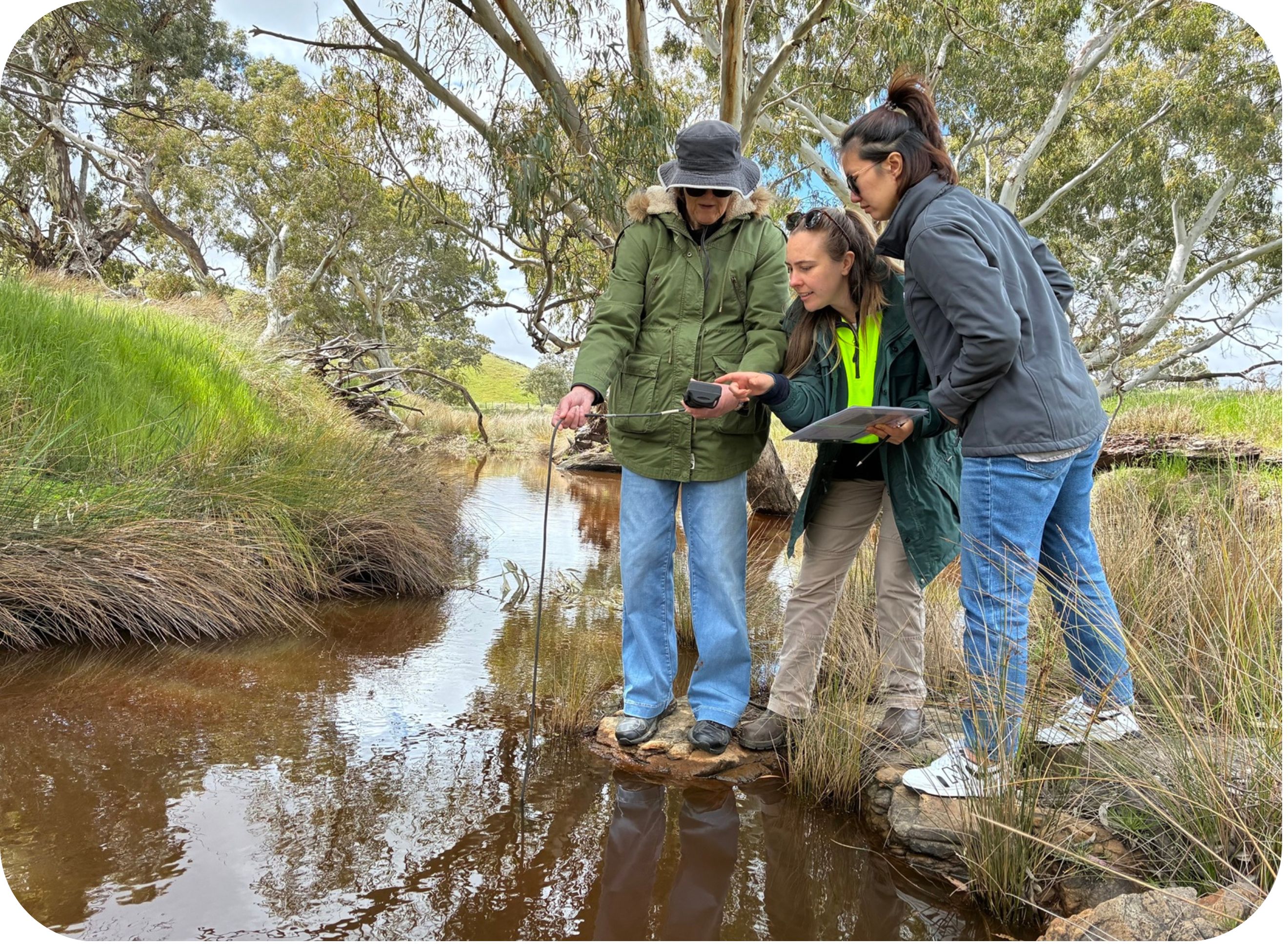 Citizen scientists