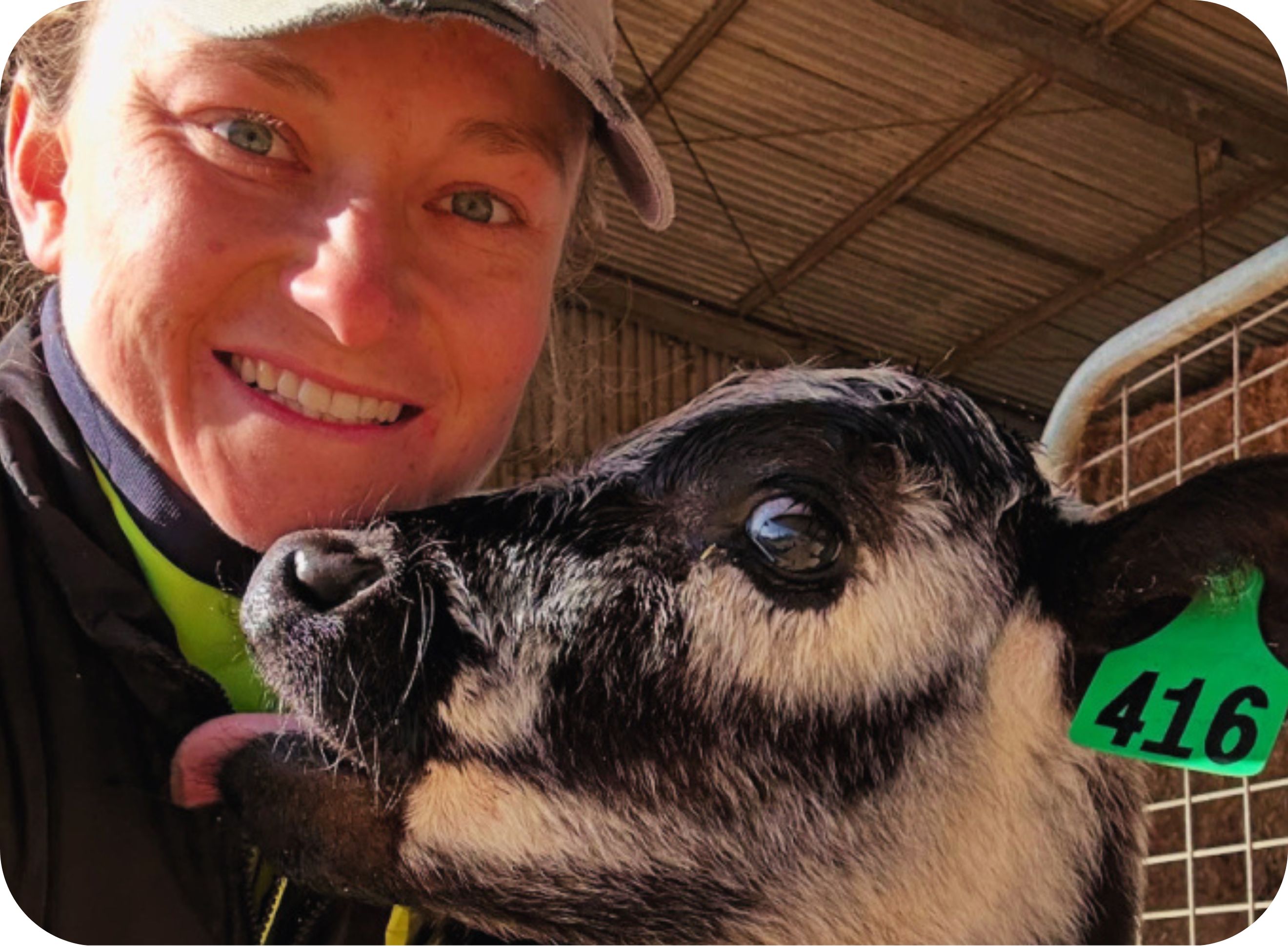 Narelle and cow
