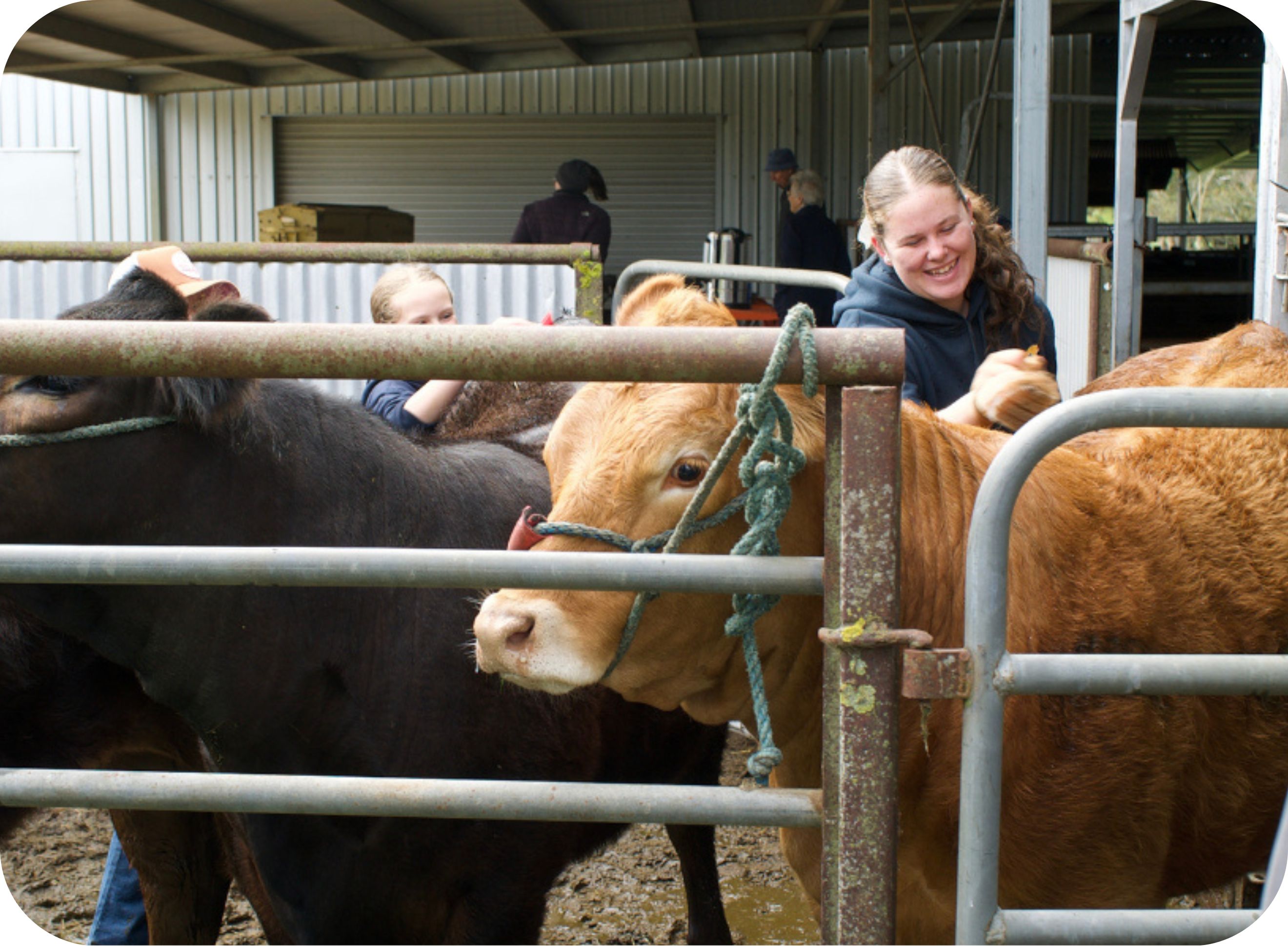 Warrawindi Farms