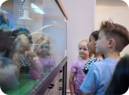 museum