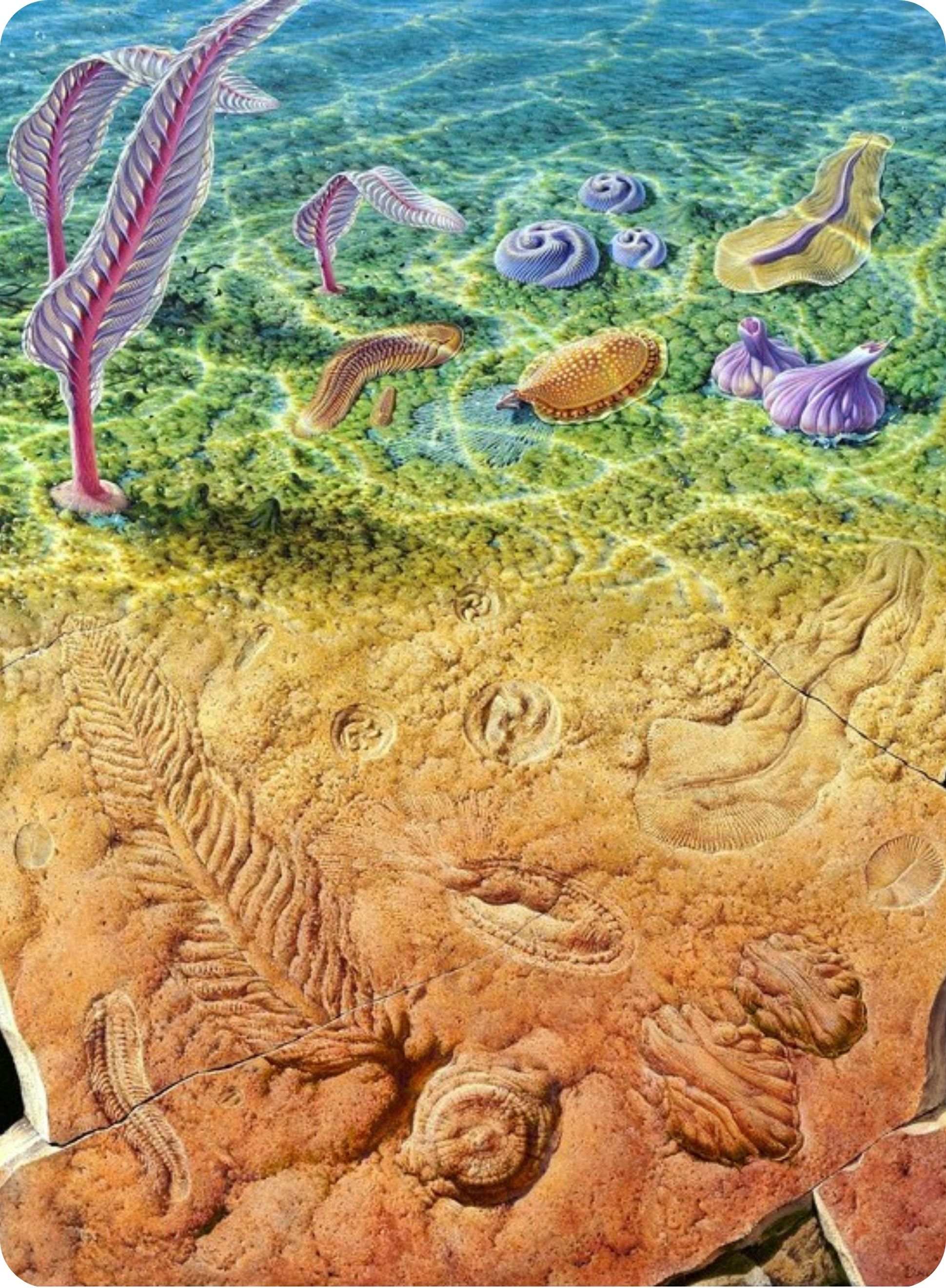 Creatures of the Slime Age