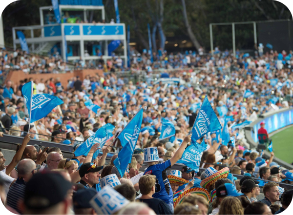 Crowd waving Strikers flags pictured at cricket oval