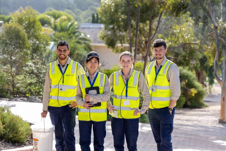 Image of PIRSA fruit fly staff wearing the new uniform of beige tops and navy pants with a PIRSA branded high vis yellow vest.