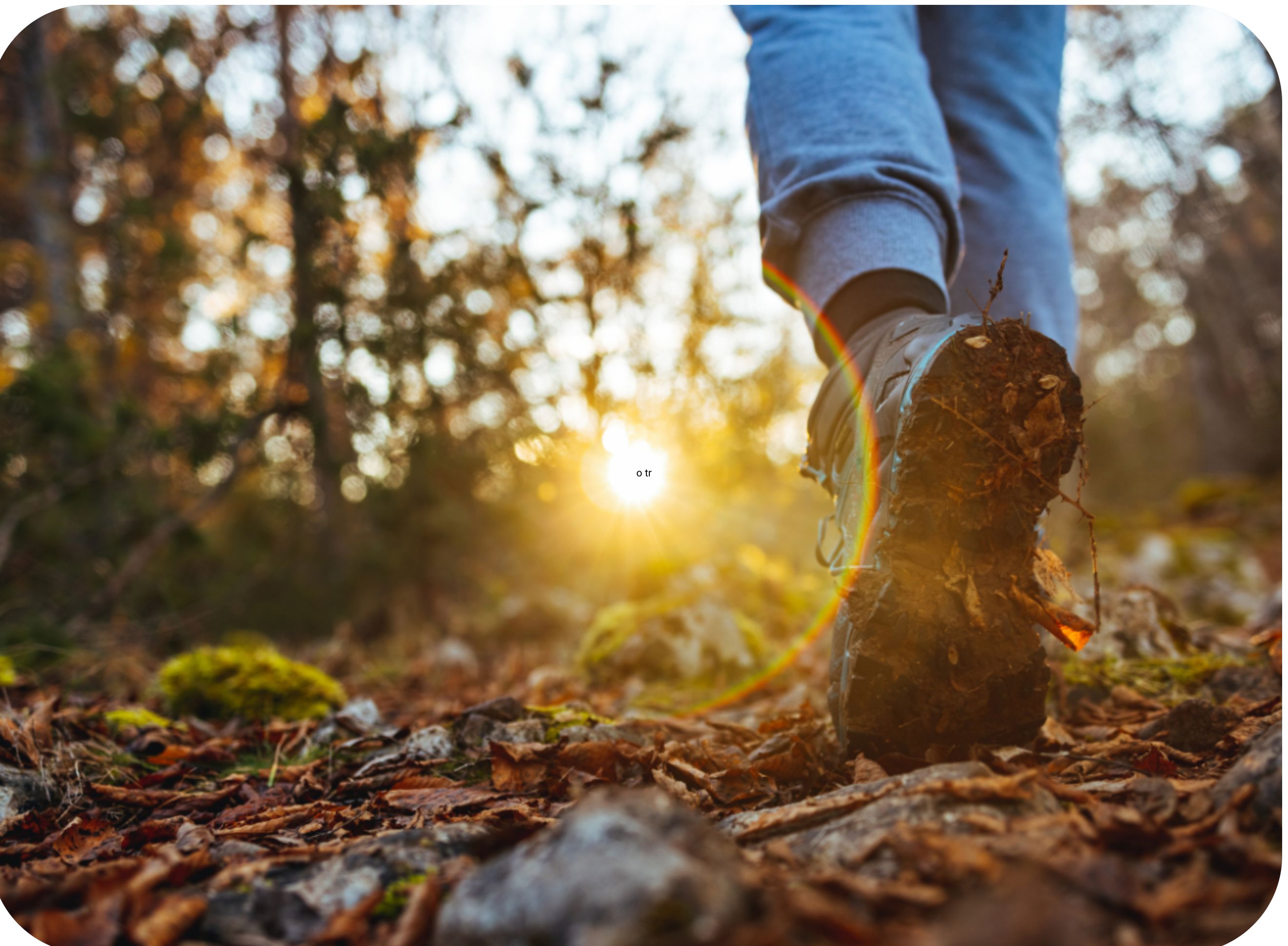 Hikes in nature
