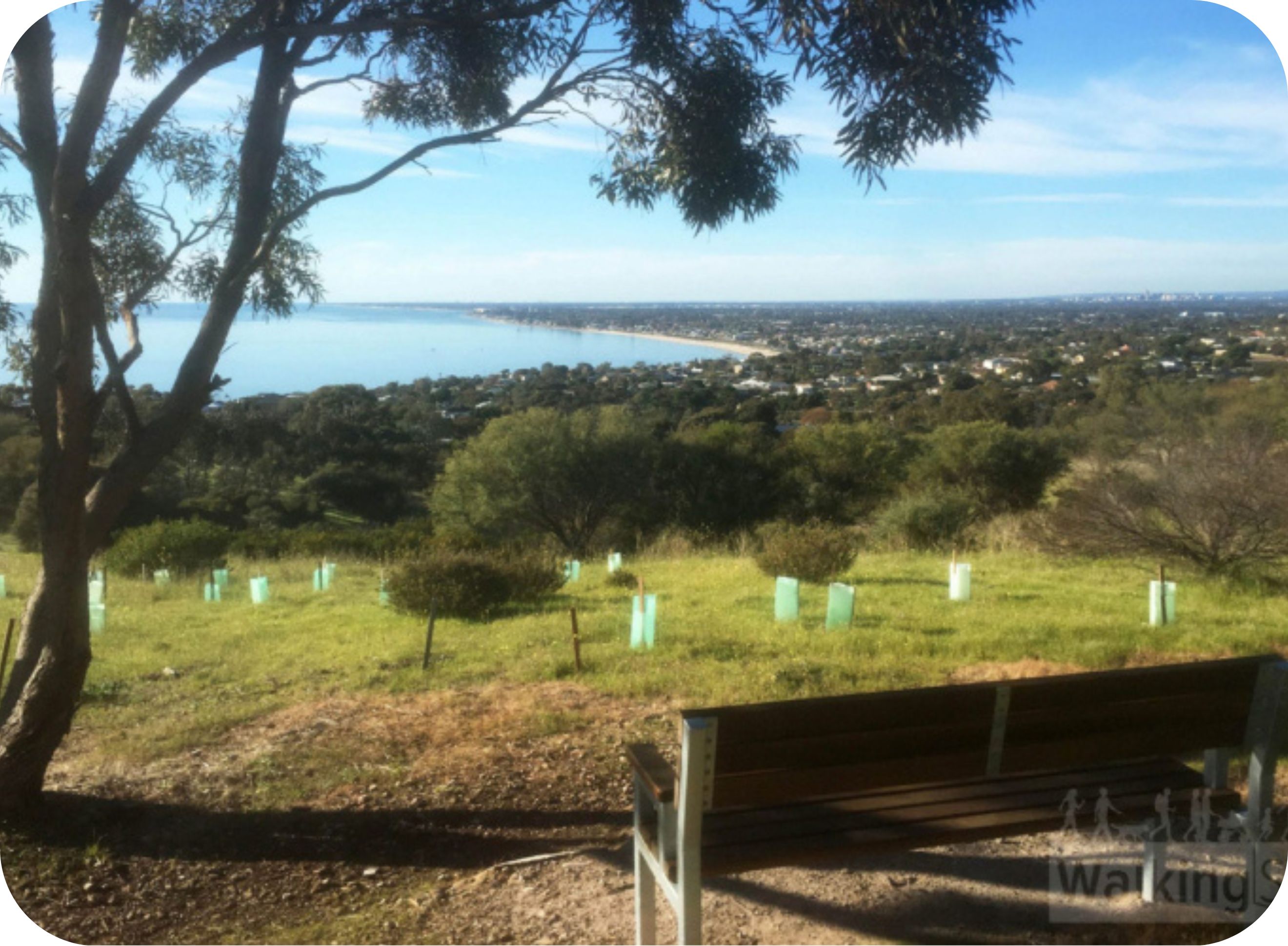 Botanical Trail