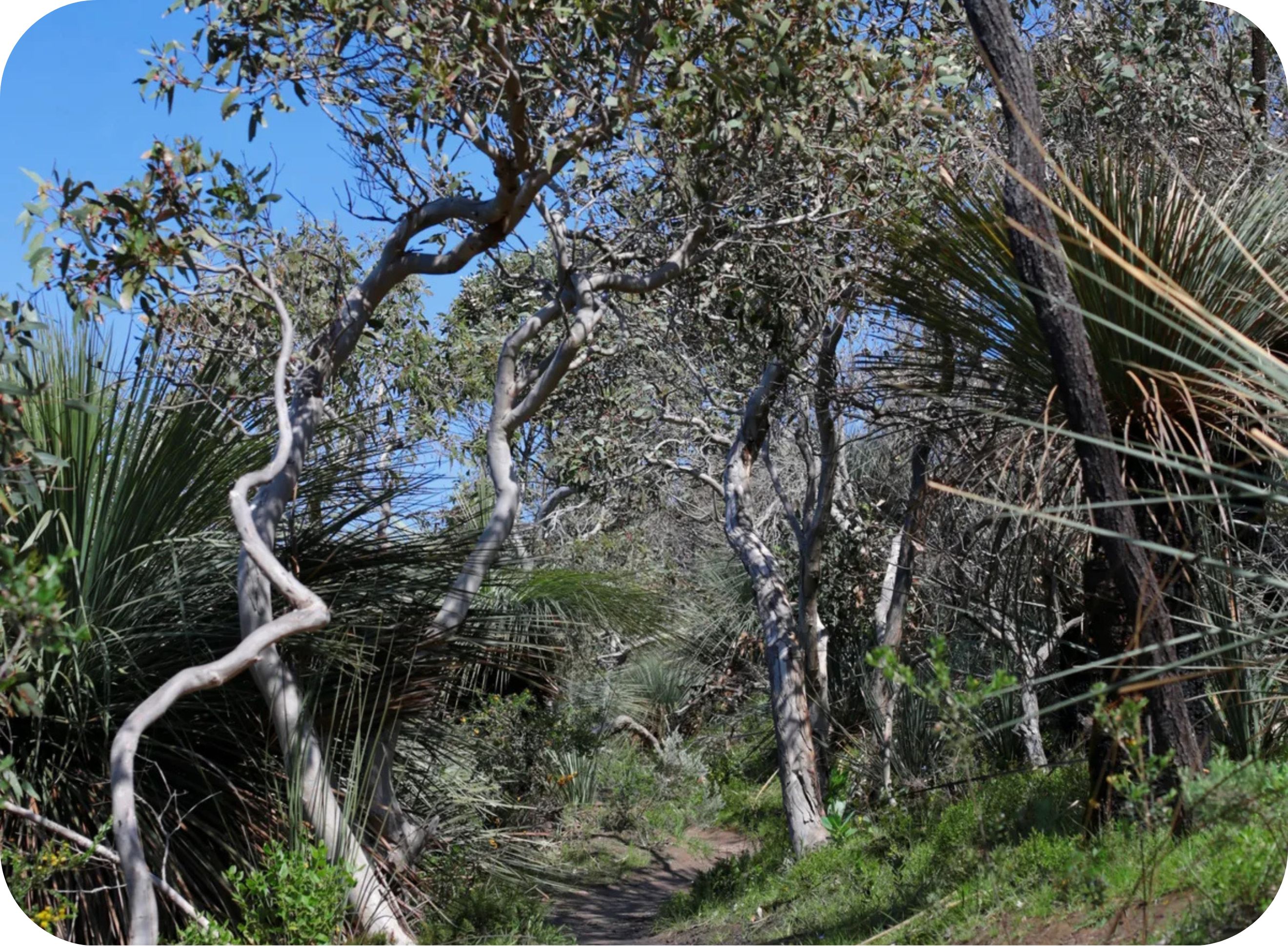 Deep Creek bushwalking