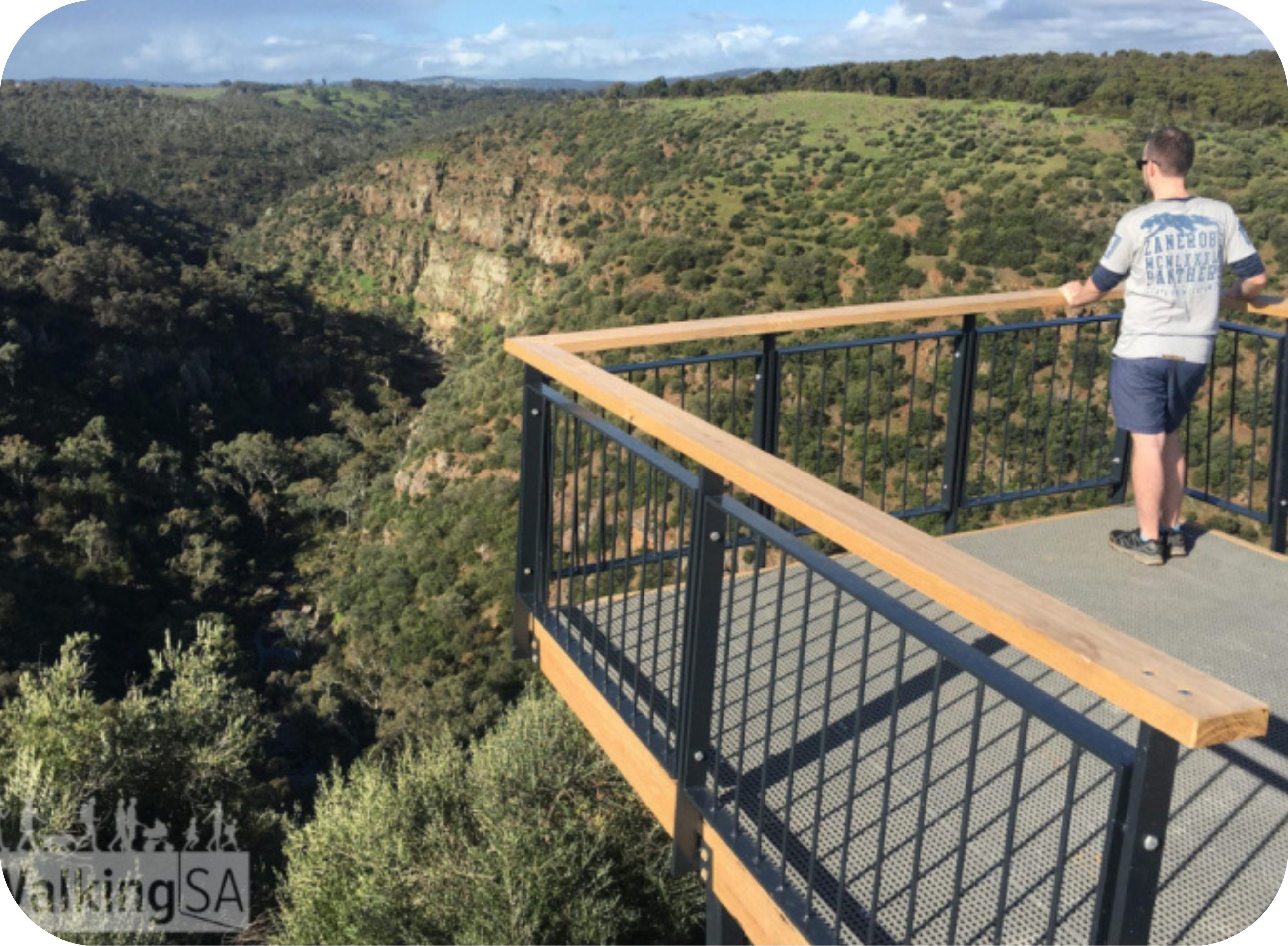 Punchbowl Lookout Trail