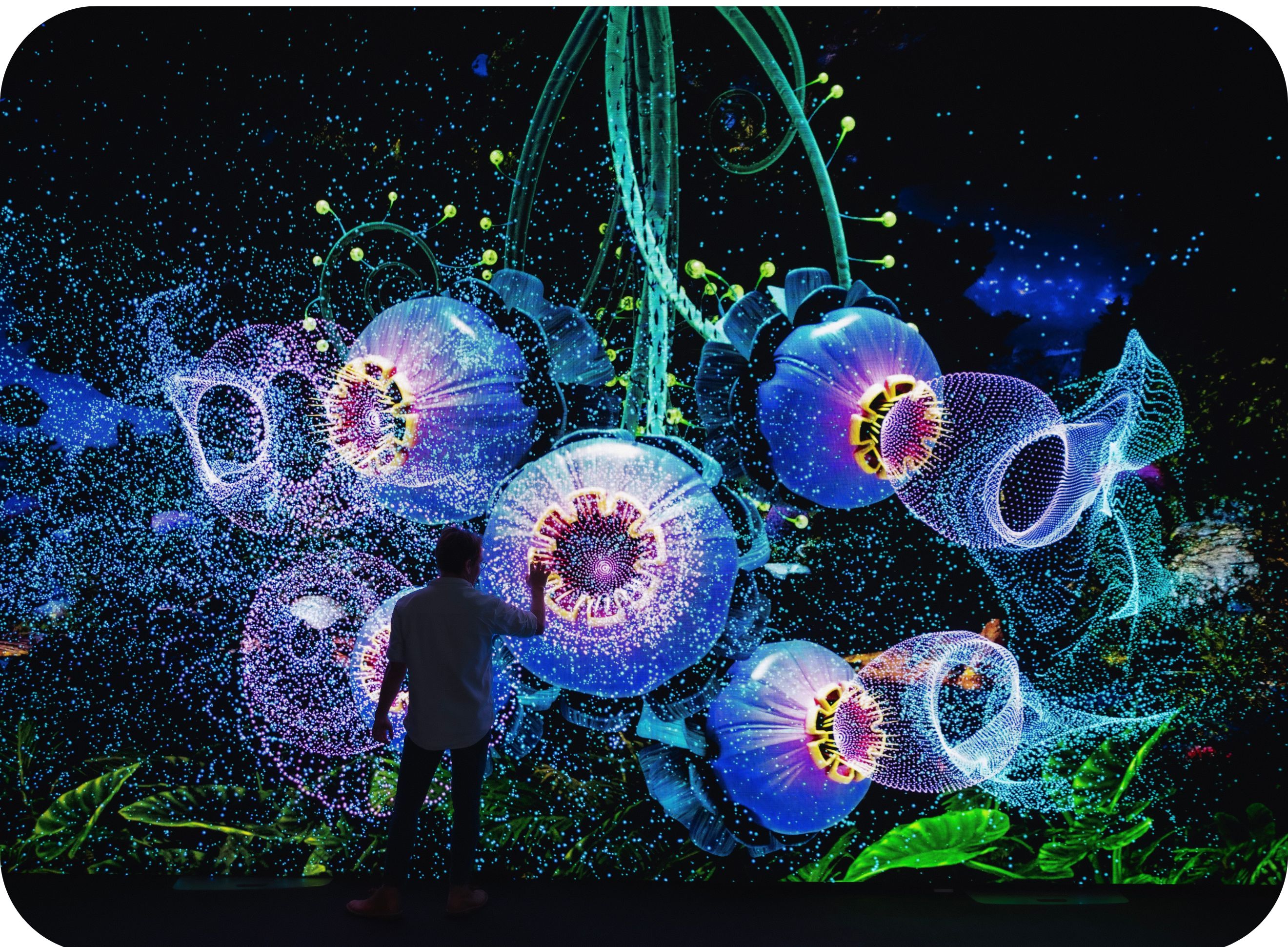illum2