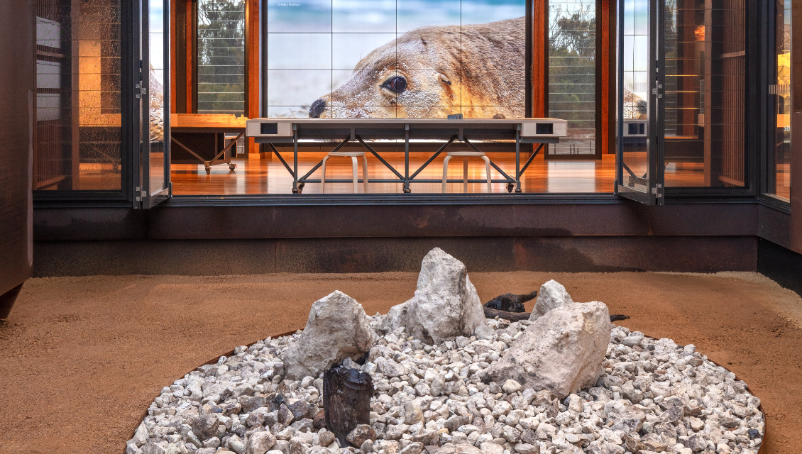 Flinders Chase National Park Visitor Centre interactive displays