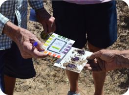 image of testing the soil PH level