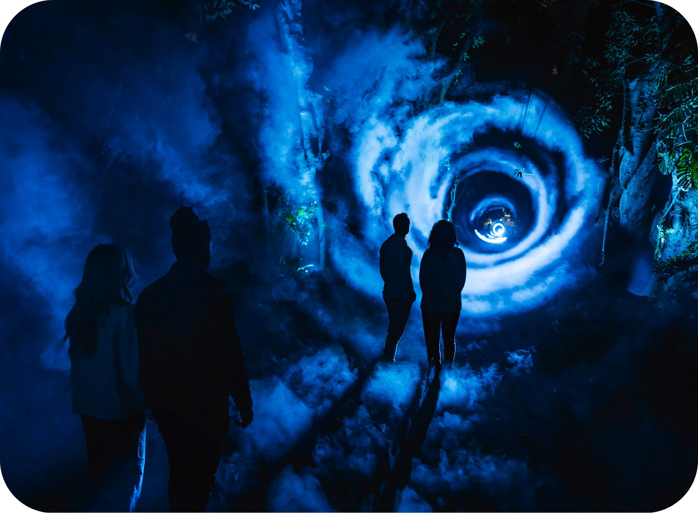 Night Visions