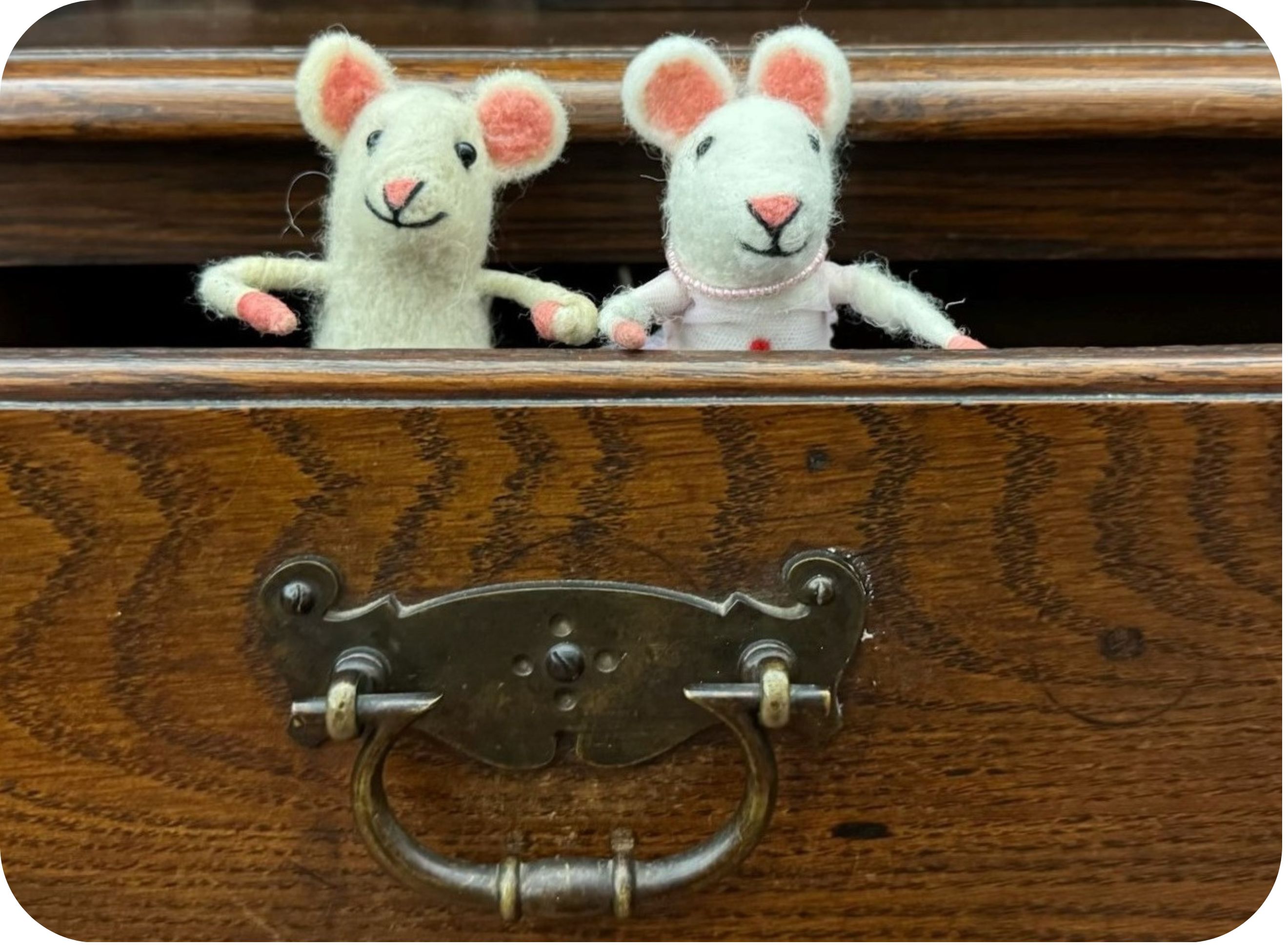 Carrick Hill mice