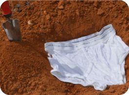 image of underwear buried 