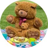Teddy Bears' Picnic