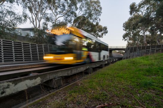 Image of bus travelling on obahn to Tea Tree Plaza