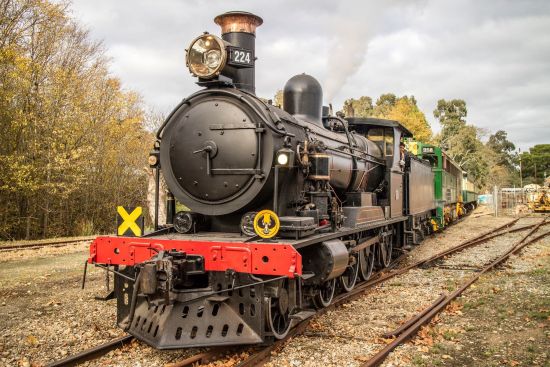 Image of the Cockle Steam Ranger