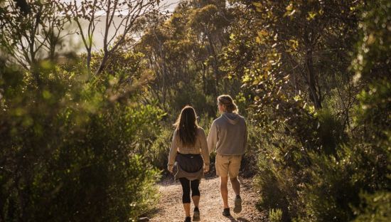 Image of South Australian national park