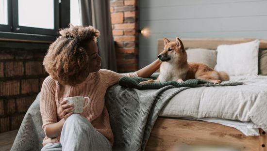 Image of a woman sitting on the floor next to a bed, a dog is on the bed, she is patting the dog.