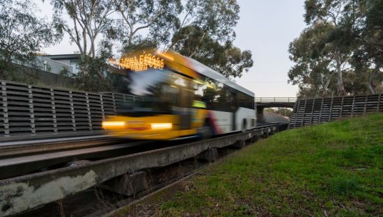 Image of a bus travelling on the O'Bahn tracks in Adelaide.