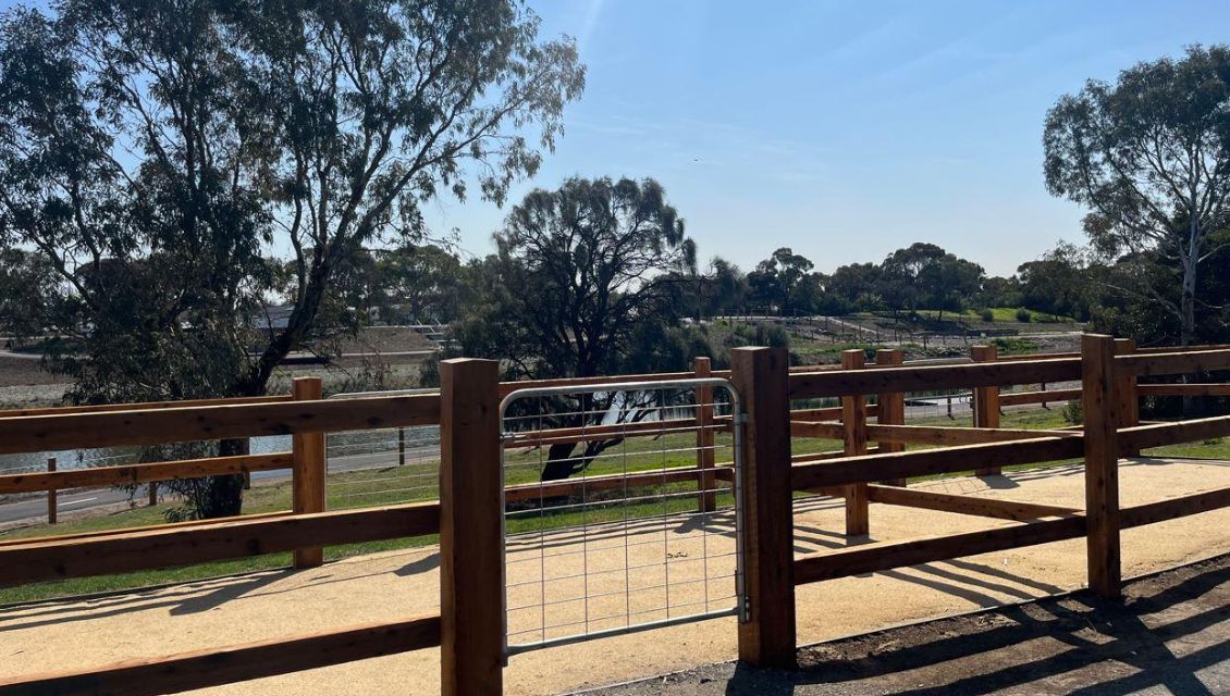 Image of the horse paddock