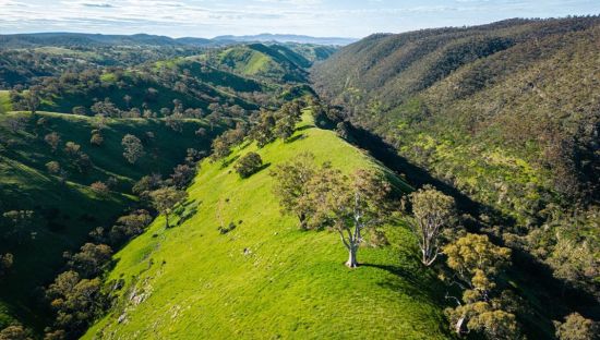 Image of the Mount Remarkable Epic Bike Trail