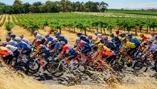 Men's Tour Down Under cyclists riding near a vineyard 