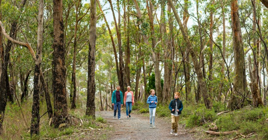 Image of a family of four walking through Cleland National Park.
