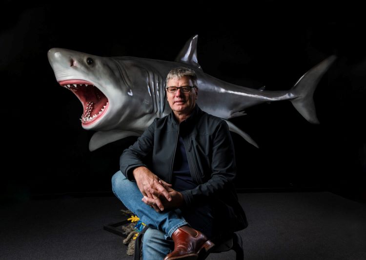 sharkshark