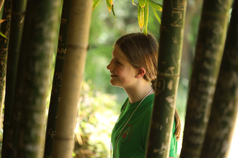 image of Astyn
